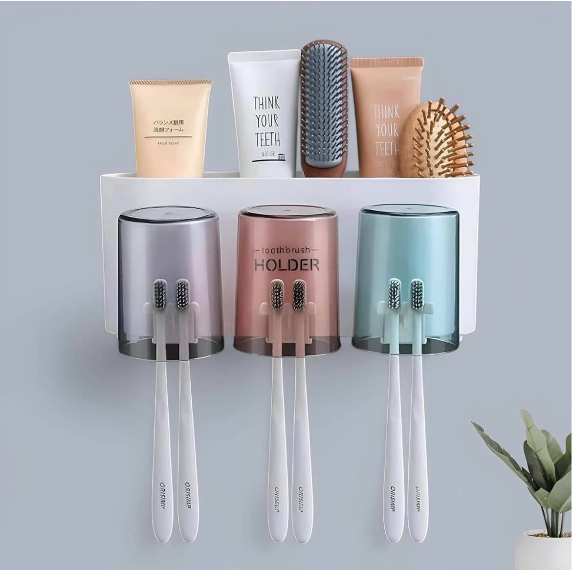 Tooth brush holder